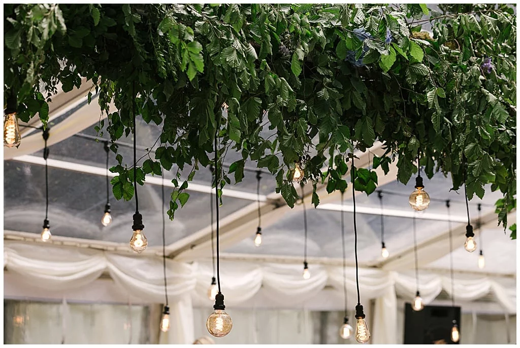 woodland marquee reception with hanging foliage and Eddison light bulbs