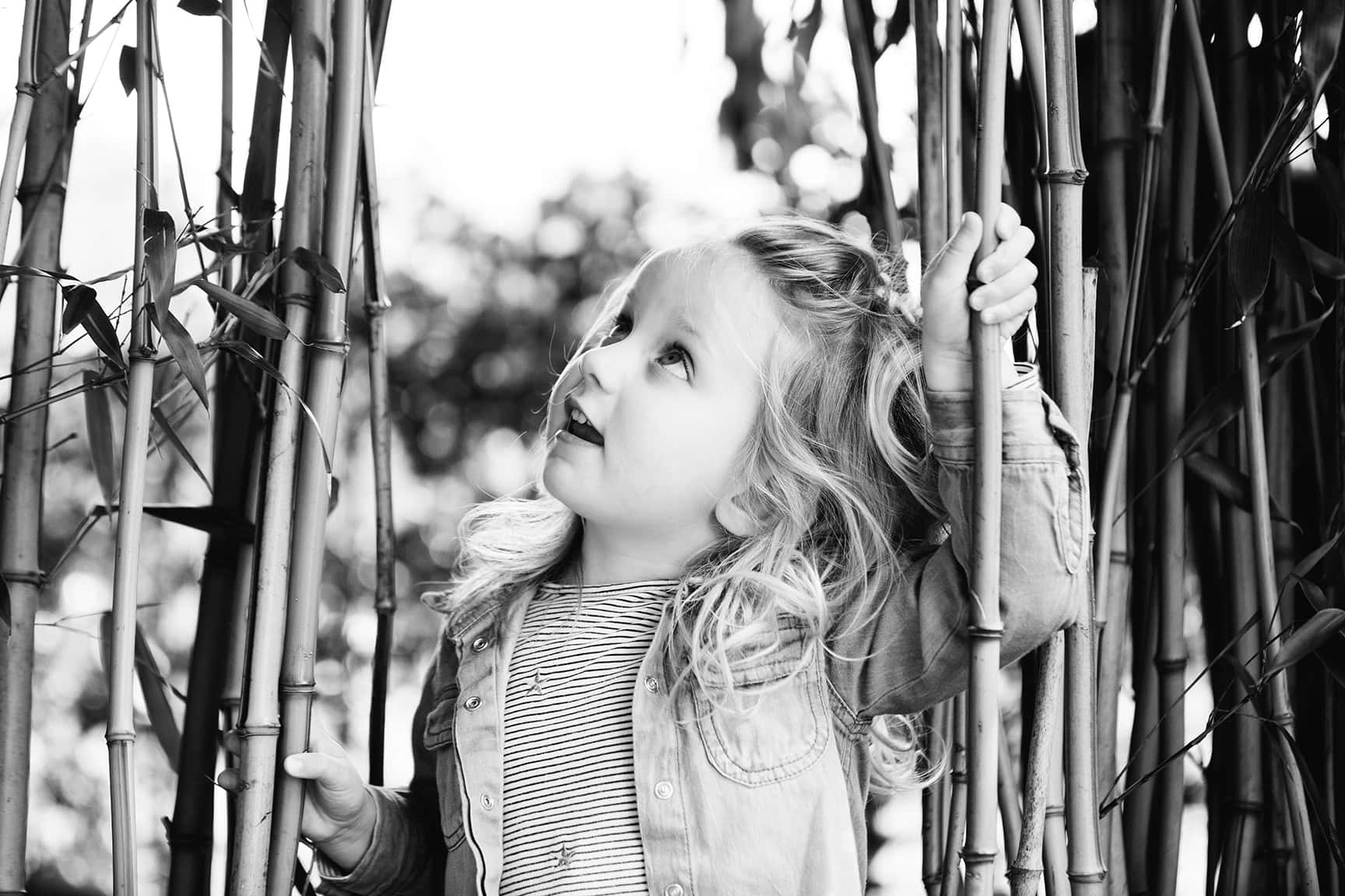 a toddler girl holds onto bamboo canes and looks up.